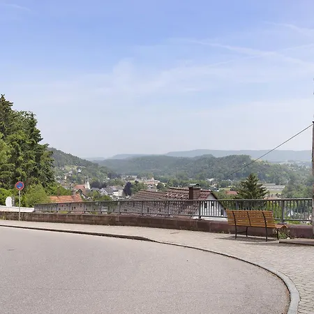 Dachgeschoss Adlerhorst Lejlighed Stuhlingen